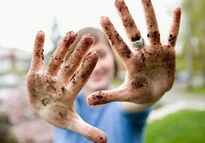 Die Ursachen von Parasiten im menschlichen Körper