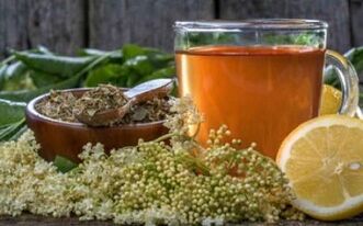 wie man Parasiten im Körper mit Volksmittel loswerden